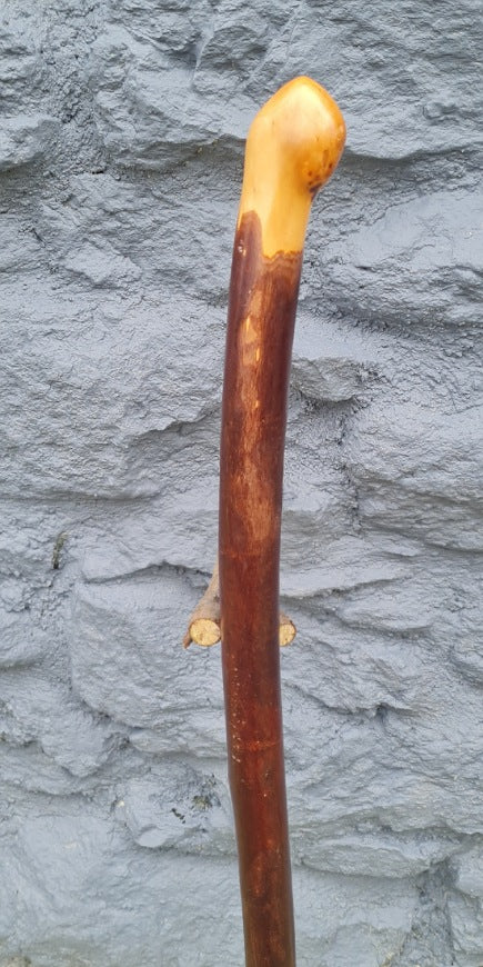 Walking Stick 34.00" AR25005