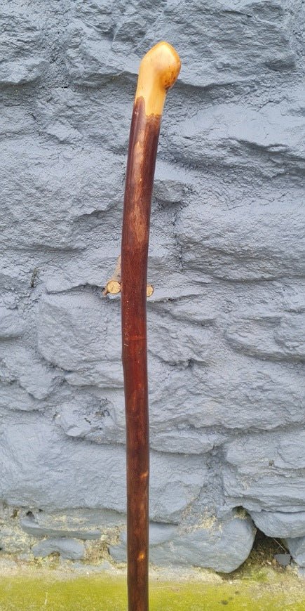 Walking Stick 34.00" AR25005