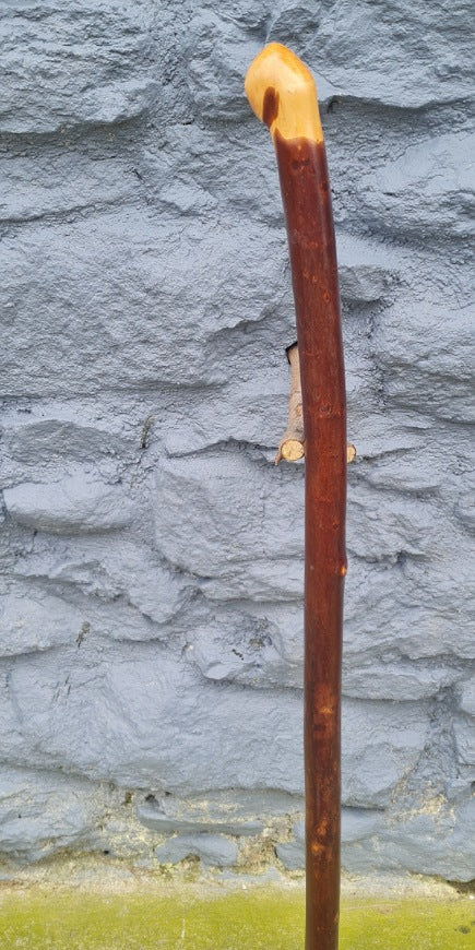 Walking Stick 34.00" AR25005