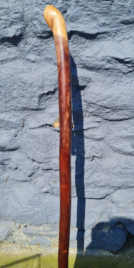 Walking Stick 34.25" BH25024