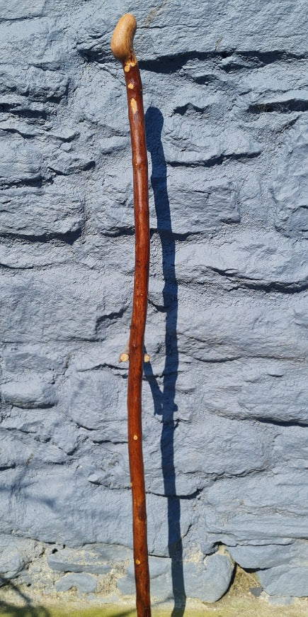 Walking Stick 46.00" BH25025