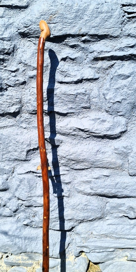 Walking Stick 46.00" BH25025