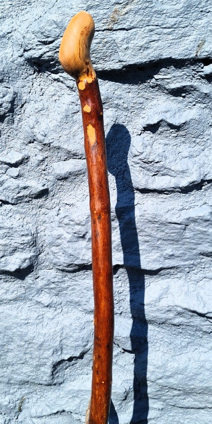 Walking Stick 46.00" BH25025