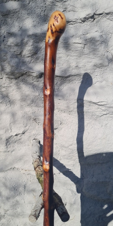 BNL2330