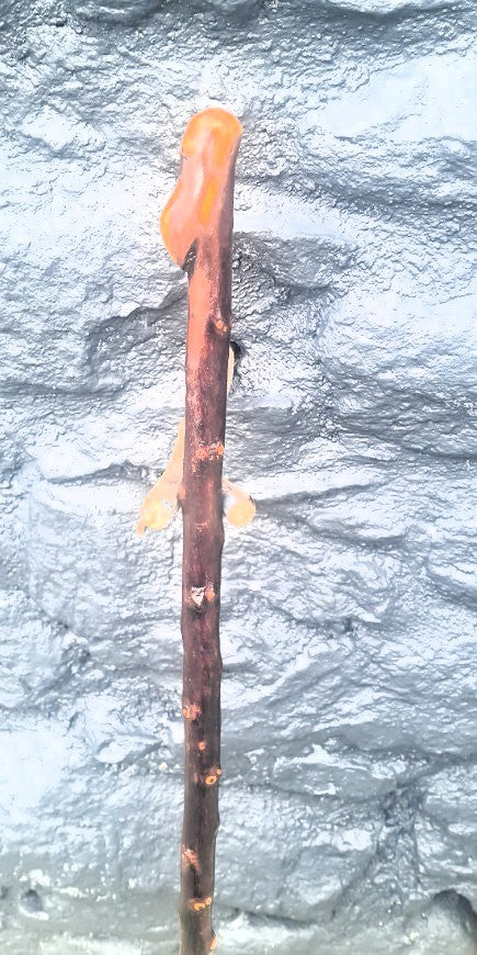 Ladies Blackthorn Cane BNL2501