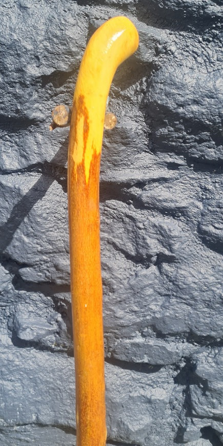 Privet Walking Stick 27.5" PT25004