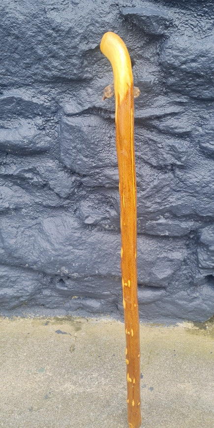 Privet Walking Stick 27.5" PT25004