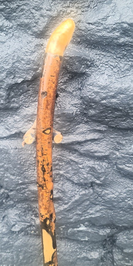 Unidentified Wood 30.00" UD25003