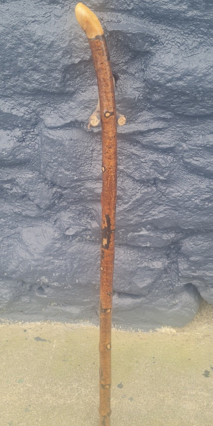 Unidentified Wood 30.00" UD25003