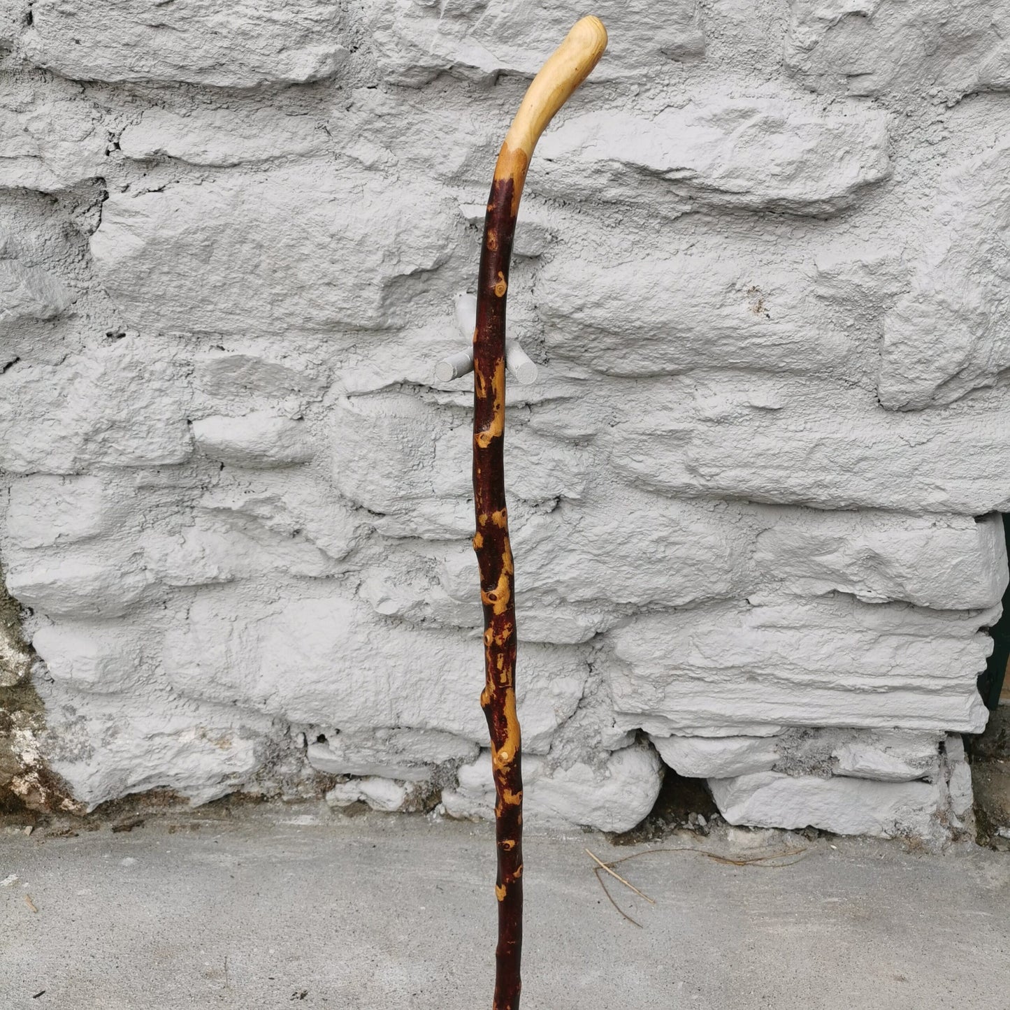 BH21022 #2