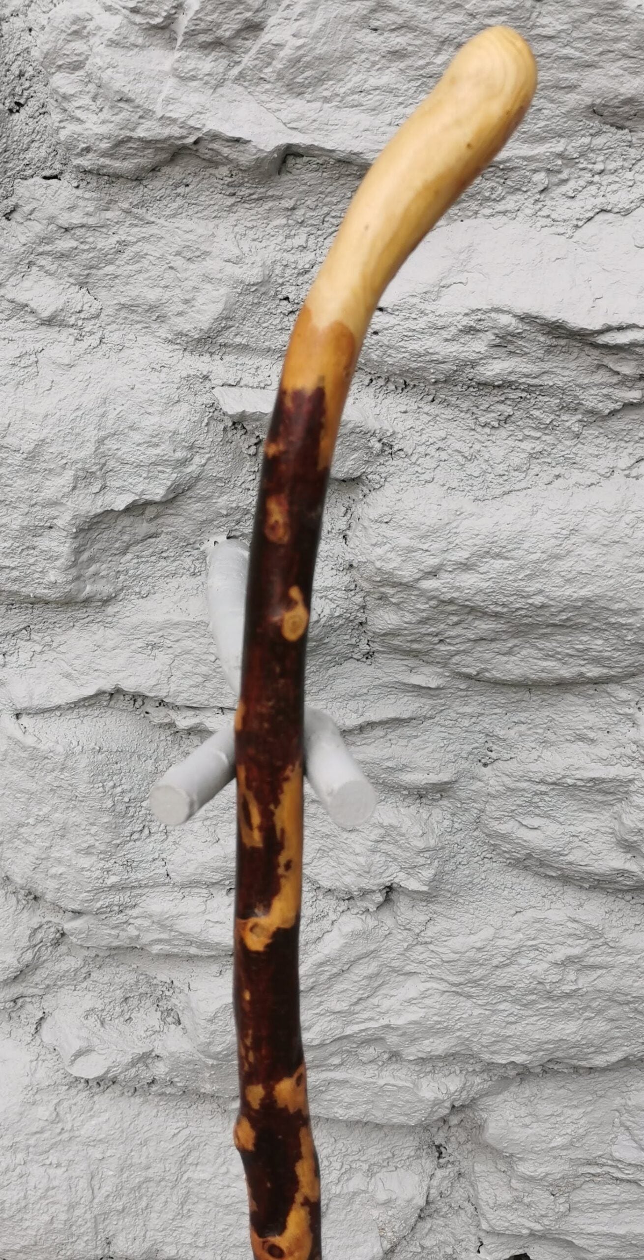 BH21022 #1