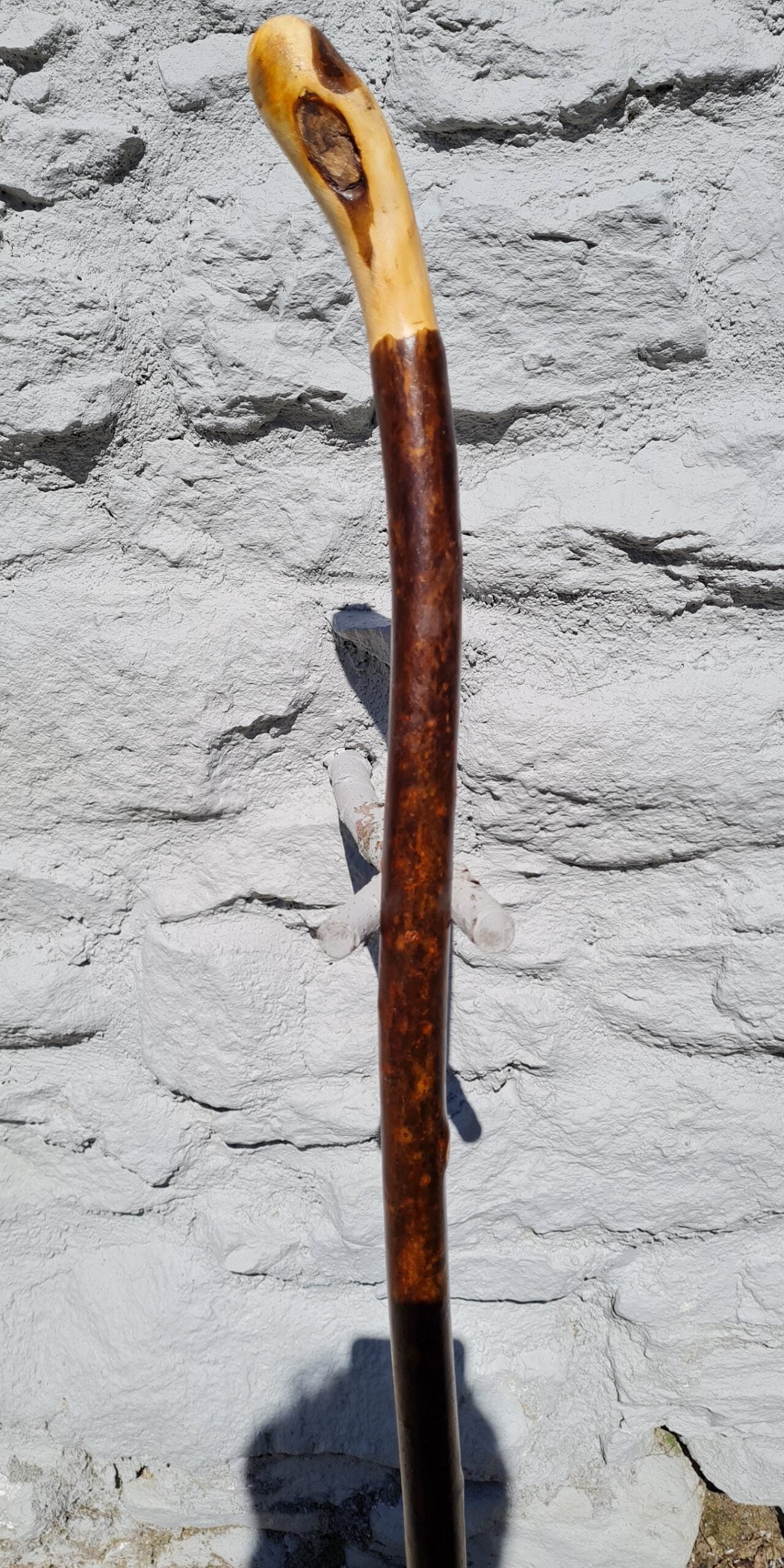 BH22019 #3
