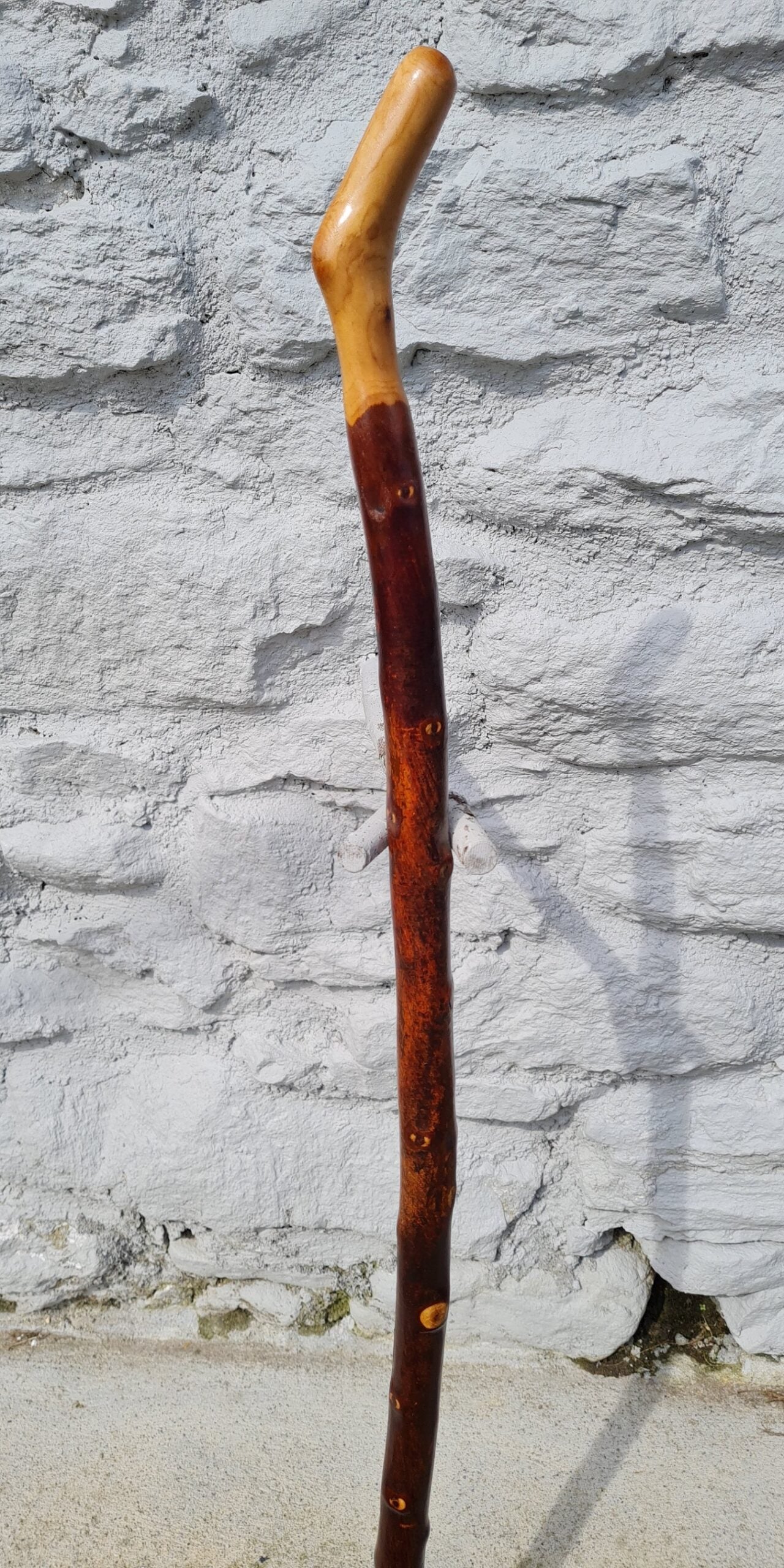 BH22026 #2
