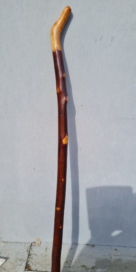BH22026a #2