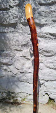 BH22031 #2