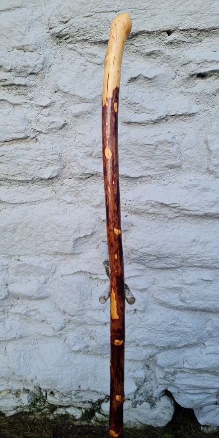 BH22038 #2