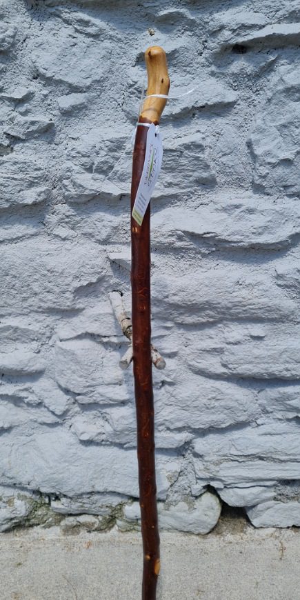BH23003 #2