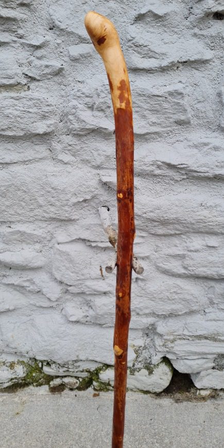 BH23006 #3