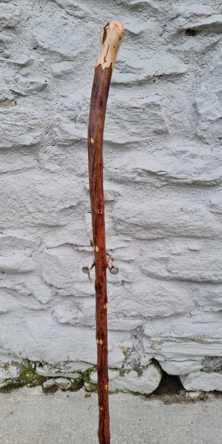 BH23007 #3