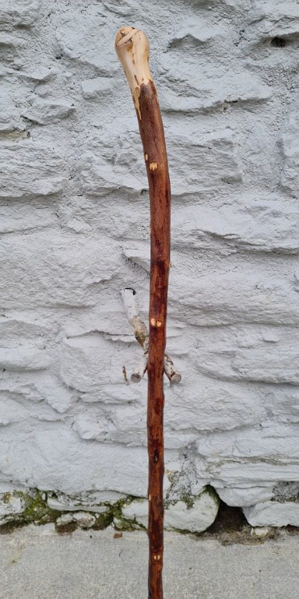 BH23007 #2