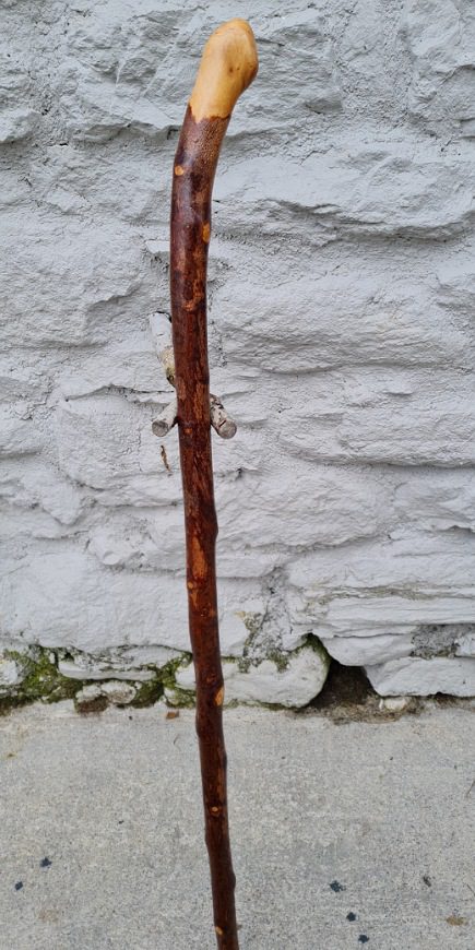 BH23010 #3