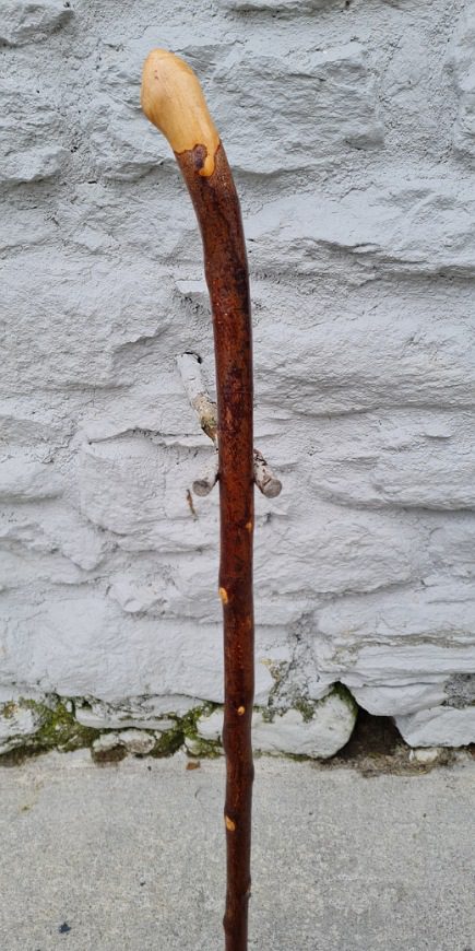 BH23010 #2