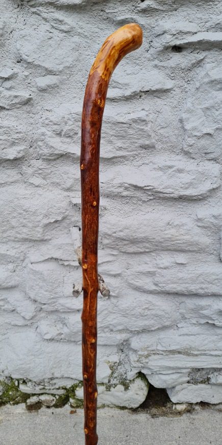 BH23013 #2