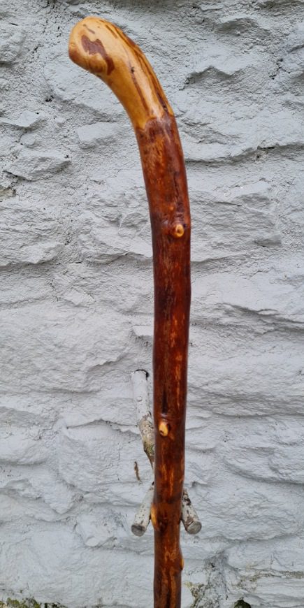 BH23013 #1
