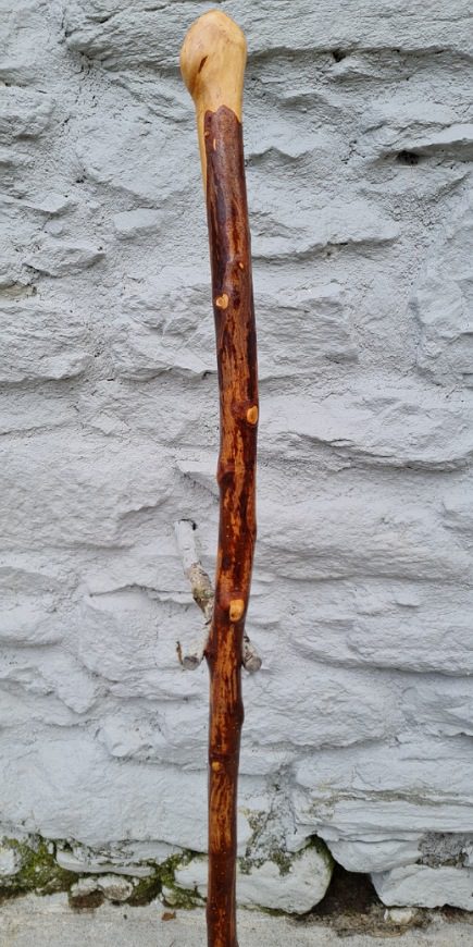 BH23014 #2