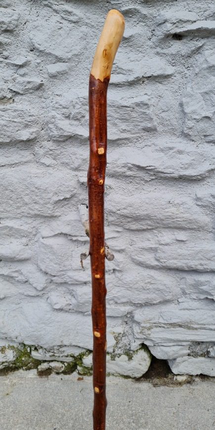 BH23016 #3