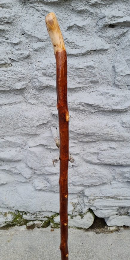 BH23016 #2