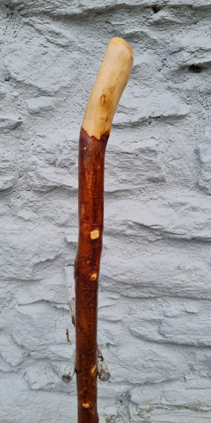 BH23016 #1