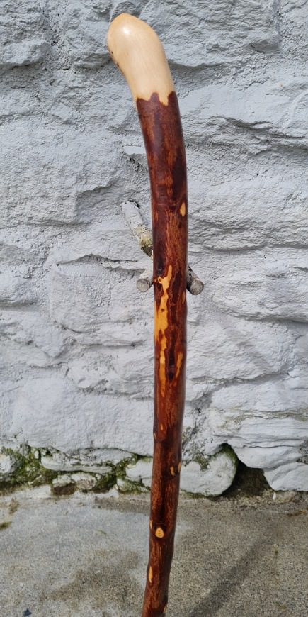 BH23017 #2