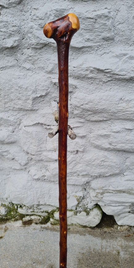 BH23018 #3