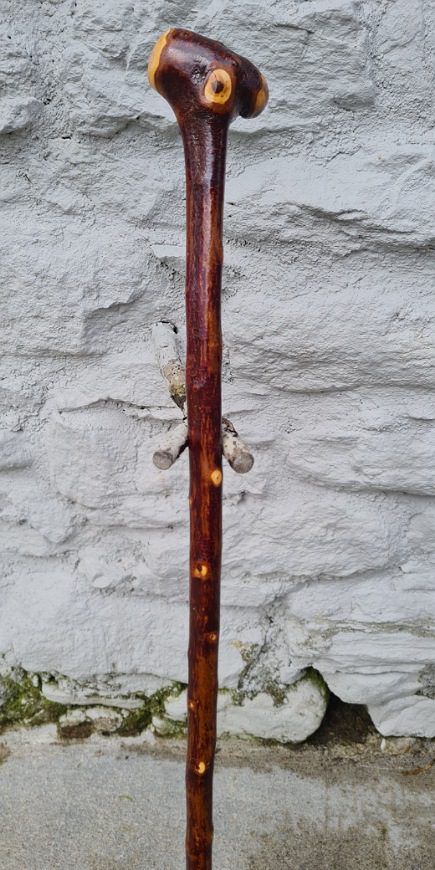 BH23018 #2