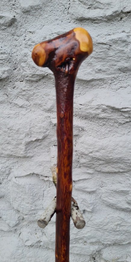 BH23018 #1