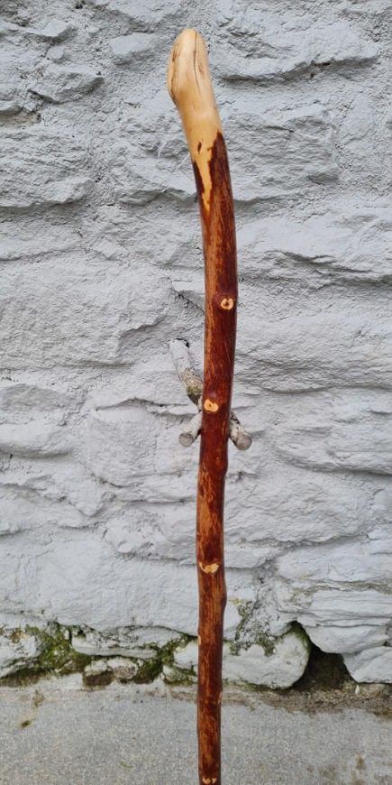 BH23019 #3