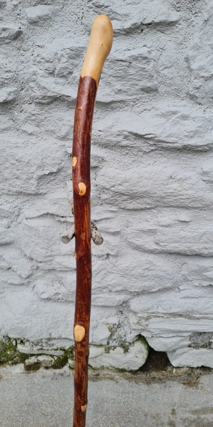 BH23019 #2