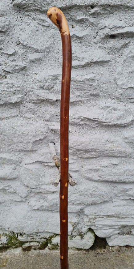BH23027 #2