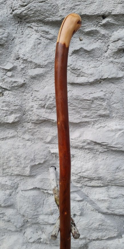 BH23027 #1