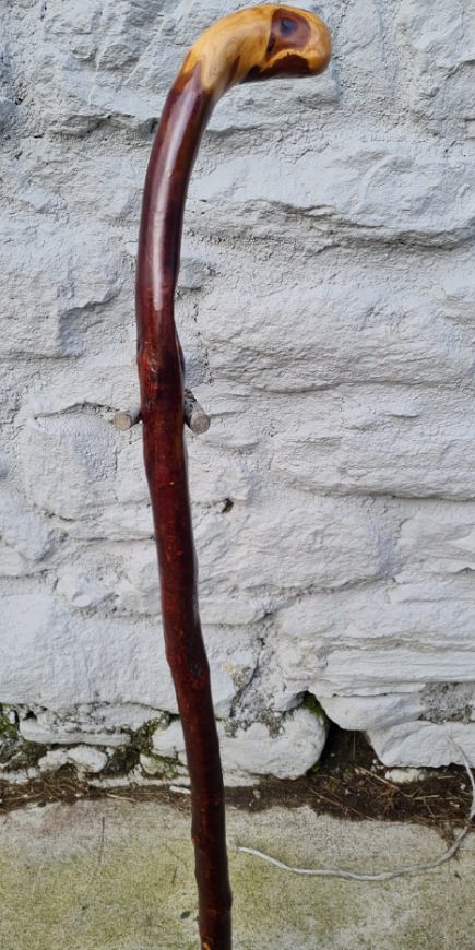 BH23004 #3