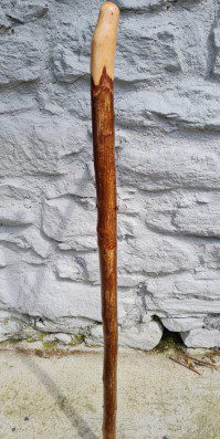 HL22023 #3