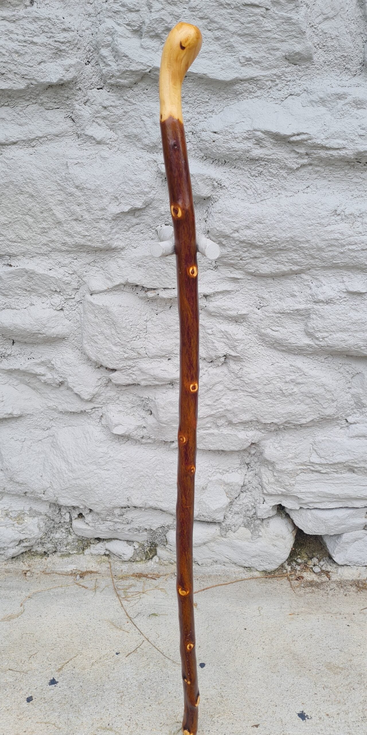 HN21019 #2