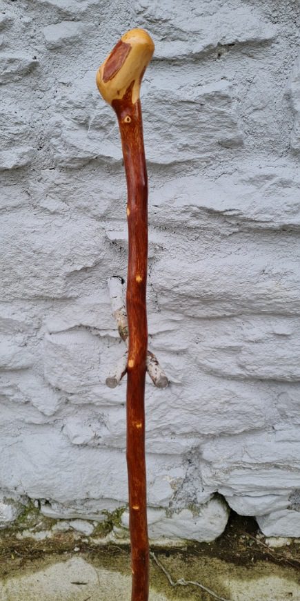 HN23006 #2
