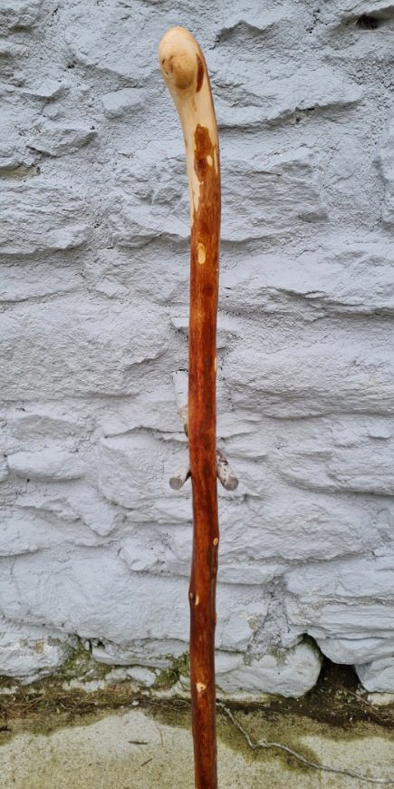 HN23010 #2