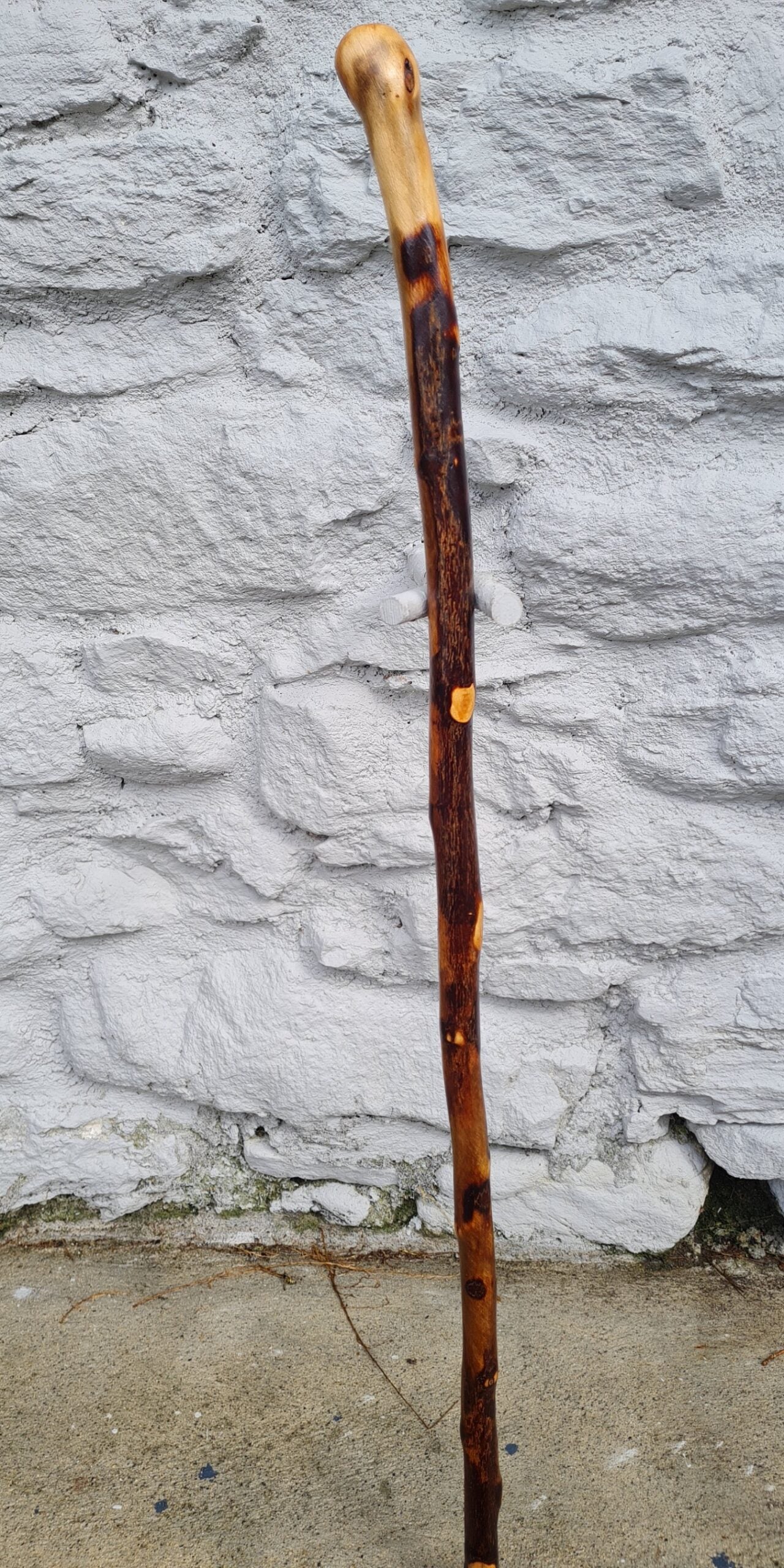 HY21023 #2