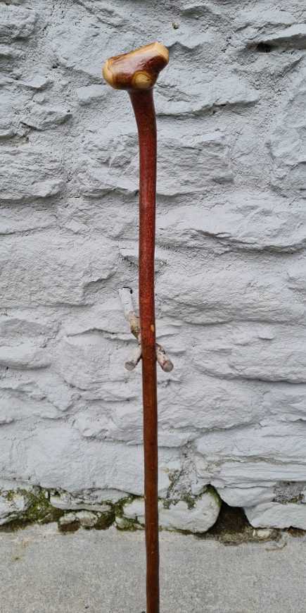 HY23026 #3