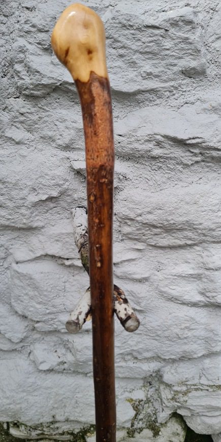 Hazel Walking Stick Shillelagh Ireland