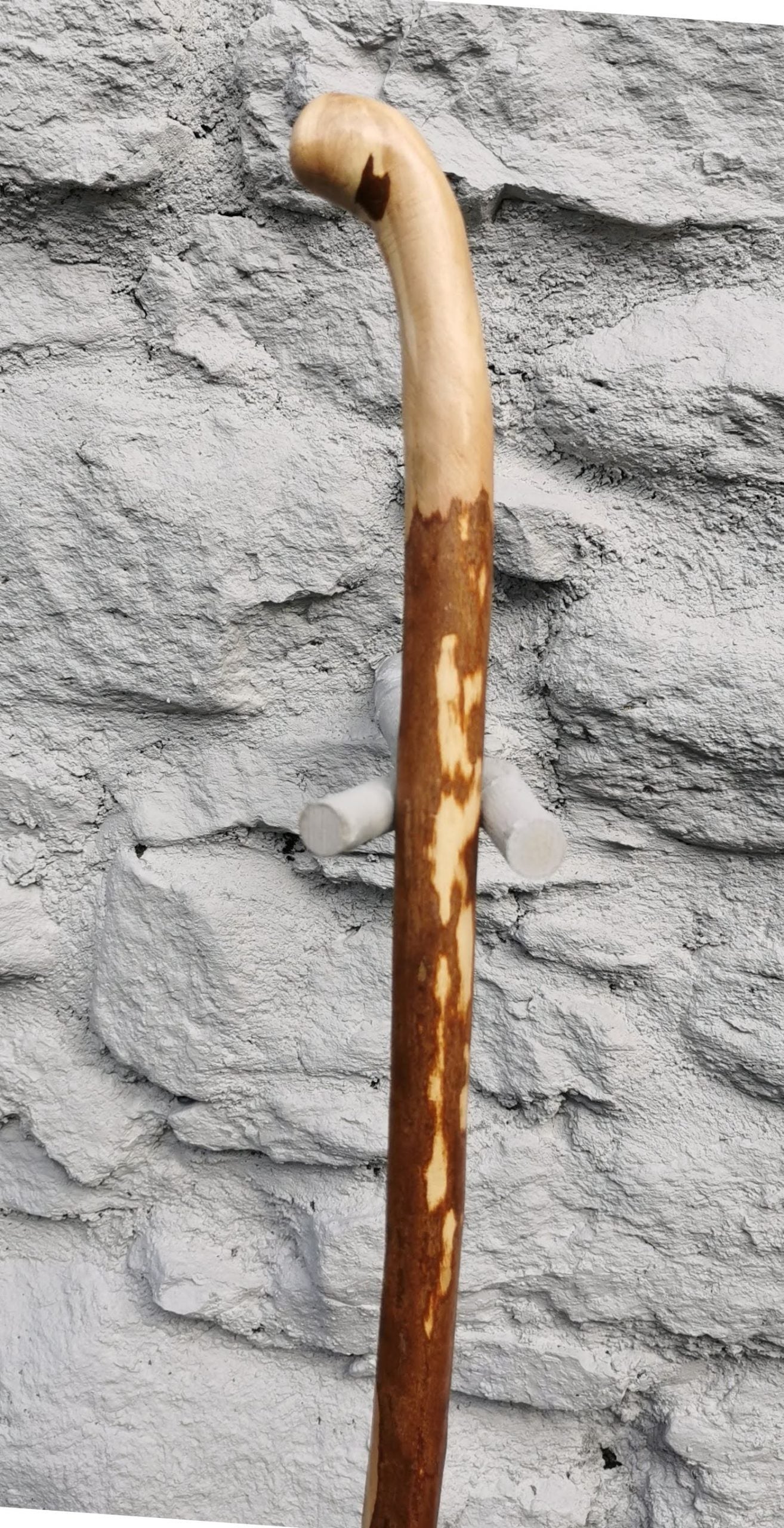 PT21001 #1