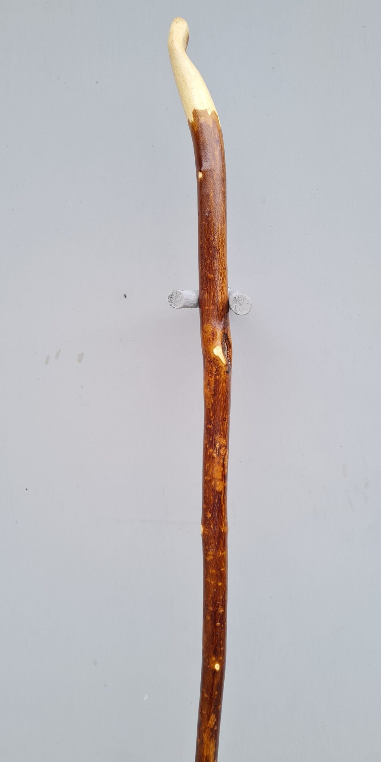 SE21007 #2